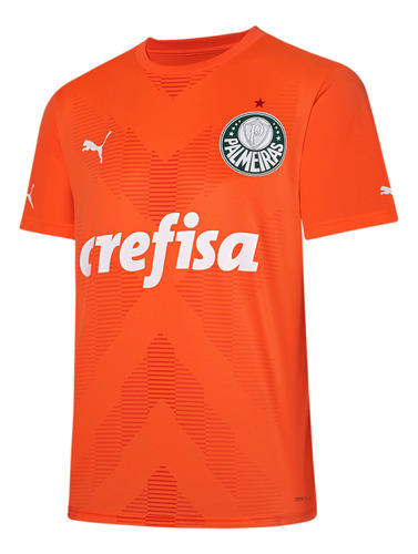 Palmeiras Torcedor Goleiro Third Jersey Puma 