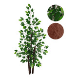 Planta Artificial Fícus Verde Grande Sem Vaso Decoração