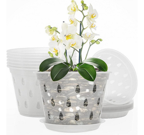 Maceta De Vidrio Soplado Para Orquídeas Con Agujero L