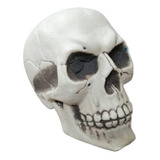 Crânio Caveira De Plástico Para Decoração De Halloween
