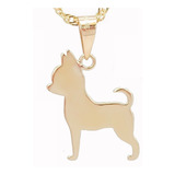 Amor Eterno - Dije Perrito Chihuahua Oro 14k + Cadena Regalo