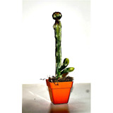 Cactus Y Suculentas Artificiales Mini Colum Regalosdeco