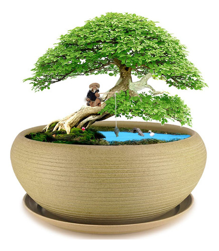 Muzhi Maceta Redonda Grande De Ceramica Para Bonsai De 10 Pu