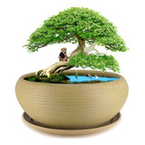 Muzhi Maceta Redonda Grande De Ceramica Para Bonsai De 10 Pu