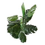 Planta Artificial Decorativa Medida 1.50 Mts Maseta Regalo