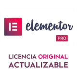 Elementor Pro Plugin De Wordpress Licencia Genuina 1 Año