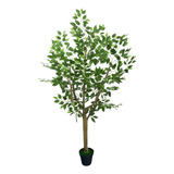 Arbol Ficus Artificial 1.80 M Con Maceta Decoración Hogar