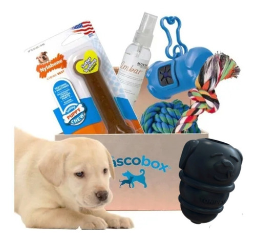 Mascobox Kit Ultra Juguetes Cachorros Med Gde Kong Nylabone