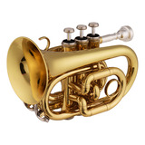 Funda De Transporte Para Tela De Limpieza Trumpet Mini