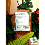 Adubo Foliar Completo Plantafol + 20-20-20 1kg