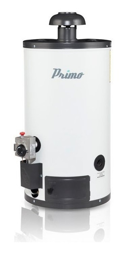 Boiler Primo Iusa 40 Lts Automatico 2 Años Garantia