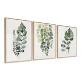 Kit Quadros Decorativos Folhagem Verde Modena Moldura Vidro