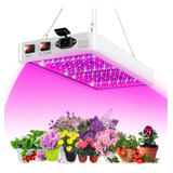 Aaa 2000w Led Crecer Luz Para Plantas De Interior 312 Leds