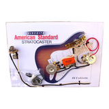 Circuito American Standard Strat Linea Dimarzio Custom