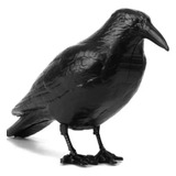 Cuervo Espanta Ave Repele Súper Raven Original Homologado   
