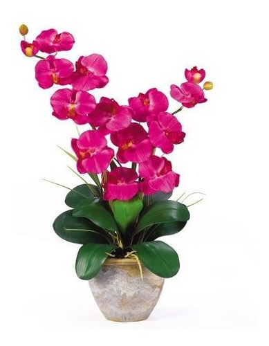 Arreglo Floral De Orquídea De Seda Phalaenopsis Doble Casi N