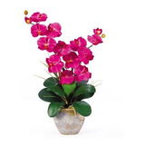 Arreglo Floral De Orquídea De Seda Phalaenopsis Doble Casi N