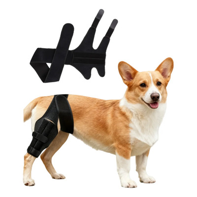 Rodillera Ortopédica Para Perro Soporte De Rodilla Trasera | MercadoLibre