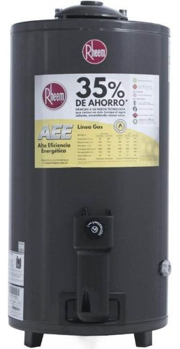 Termotanque Gas Natural Rheem 80 L De Pie Con Carga Superior