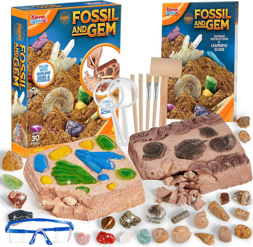 Kit De Excavación De Fósiles Y Piedras Preciosas El Kit De E