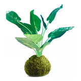 Kokedama Planta Pilea Artificial 