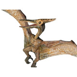 Papo Pteranodon Dinosario De Colecciòn O De Juguete