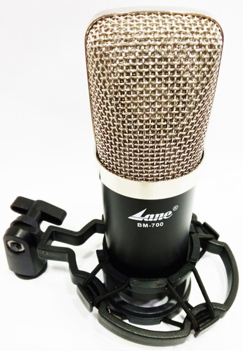 Microfono Condenser Lane Bm700 Ideal Para Placa De Sonido