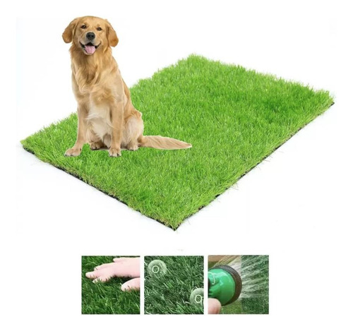 Tapete Entrenador Doggie Grass Grande Para Perro 50x80cm