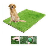 Tapete Entrenador Doggie Grass Grande Para Perro 50x80cm