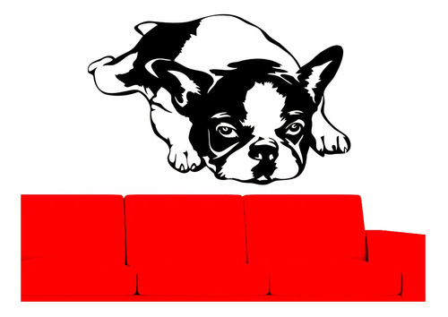 Vinilo Sticker Perro Bulldog Frances 52x80cms Varios Diseños