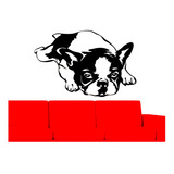 Vinilo Sticker Perro Bulldog Frances 52x80cms Varios Diseños