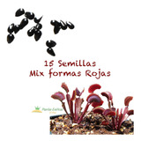 15 Semillas Venus Atrapamoscas Formas Rojas Mix Carnívoras