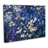 Cuadro Lienzo Canvas 45x60cm Manzanilla Flor Pintura Oleo