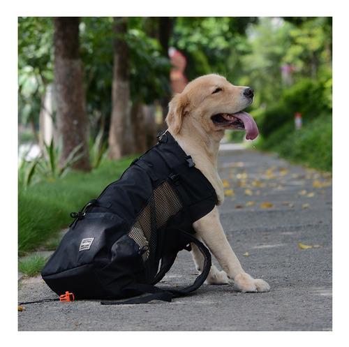 Mochilas De Viaje For Transportar Perros Y Mascotas