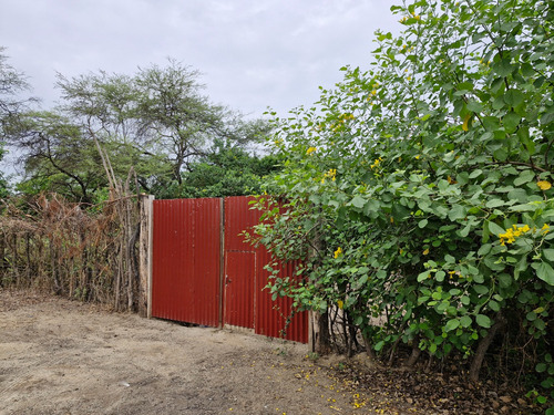 Vendo Terreno De 6.84 Hectáreas Salas, Lambayeque