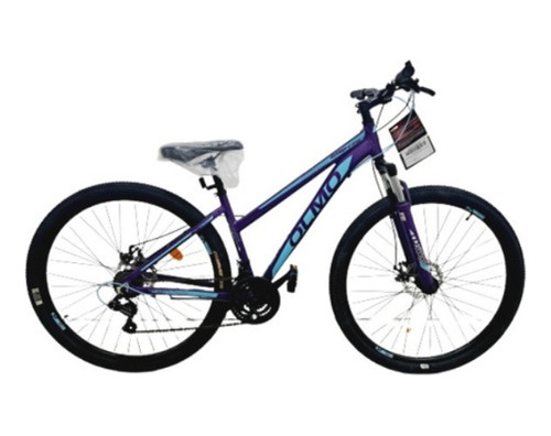 Bicicleta Mtb Olmo R29 Wish 295 Dama Mujer Bike Club