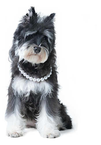 Collar De Perlas Para Mascotas, Collar Ajustable Para Perros