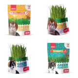 Pasto Para Perros Gatos Aves Roedores Green Munchies 50g 5pz