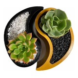 Yin Yang Maceta De Concreto- Cemento Para Cactus Suculentas