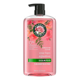 Herbal Essences Rose Hips Smooth Shampoo, 33.8 Fl. Onz.
