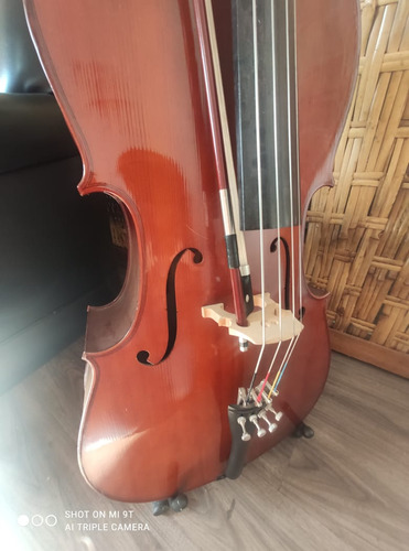 Violoncelo Eagle Ce200