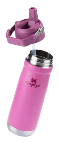 Garrafa Termica Stanley 650ml Flip Straw Water Bottle C/nf-e