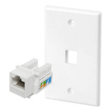 Modulo Rj45 Cat5e De Red Jack Keystone Con Tapa Muro