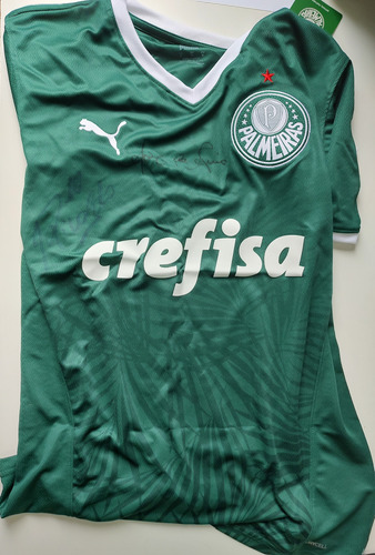 Camiseta Palmeiras Autografada Por Ademir Da Guia E Rivaldo