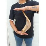 Shofar Carnero +cojin+llavero- 45cm- Kosher (#336)