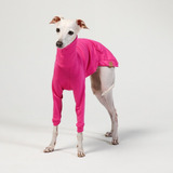 Roupa Para Cachorro Galgo Italiano Lisa Pink