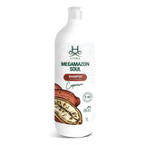 Shampoo Hydra Megamazon Soul 1l (1:10)