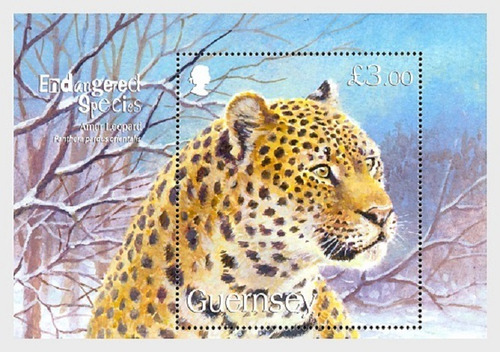 2009 Fauna En Peligro- Leopardo - Guernsey (bloque) Mint