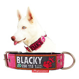 Collar St Personalizado Con Nombre De Tu Mascota!