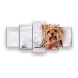 Quadro Decorativo Mosaico 5 Peças Yorkshire Cachorro 3mm